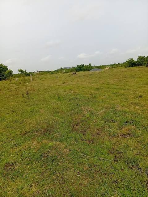 199 ESTATE PLOTS