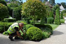 Ground maintenance